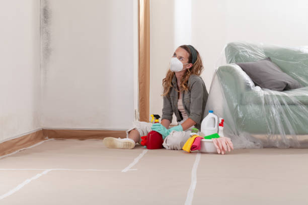 Reliable Mold Cleanup contractor in Madison, FL by WQB Mold Removal